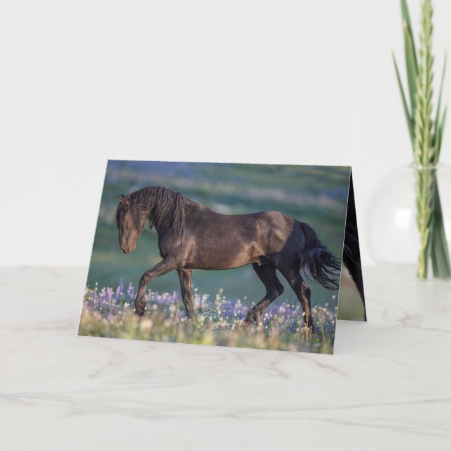 Vild Horse Greeting Card - Galaxy Trots Kort (Framsida)