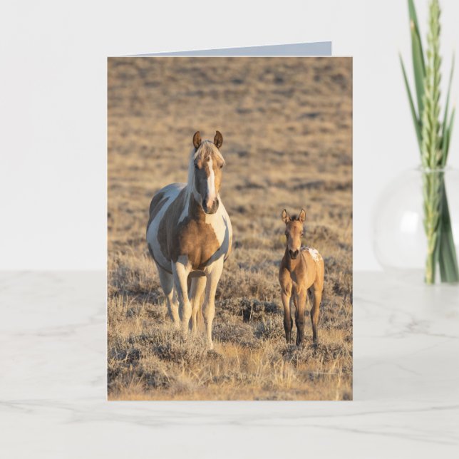 Vild Horse Greeting Card - Grace och Donata Tack Kort (Framsida)