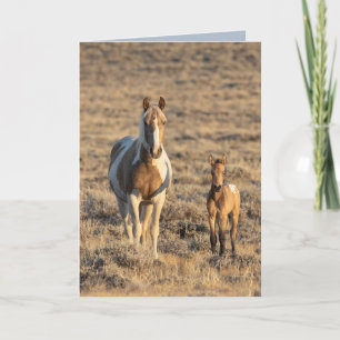 Vild Horse Greeting Card - Grace och Donata Tack Kort