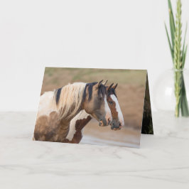 Vild Horse Greeting Card - målade vänner Kort