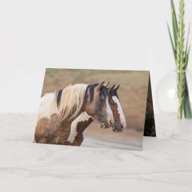 Vild Horse Greeting Card - målade vänner Kort (Framsida)