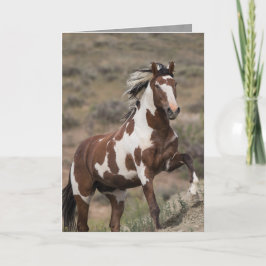 Vild Horse Greeting Card - Picasso Springa Up Kort