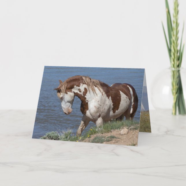 Vild Horse Greeting Card - Tetons utmaning Tack Kort (Framsida)