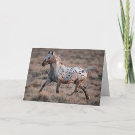 Vild Horse Greeting Card Tittar glas Trots Kort