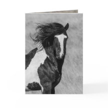 Vild Horse Greeting Card - tvättakie på eld