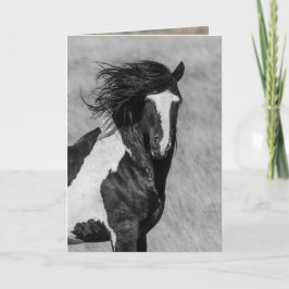 Vild Horse Greeting Card - tvättakie på eld Kort
