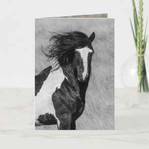 Vild Horse Greeting Card - tvättakie på eld Kort