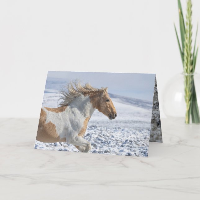 Vild Horse Greeting Card Tyr Springa Kort (Framsida)