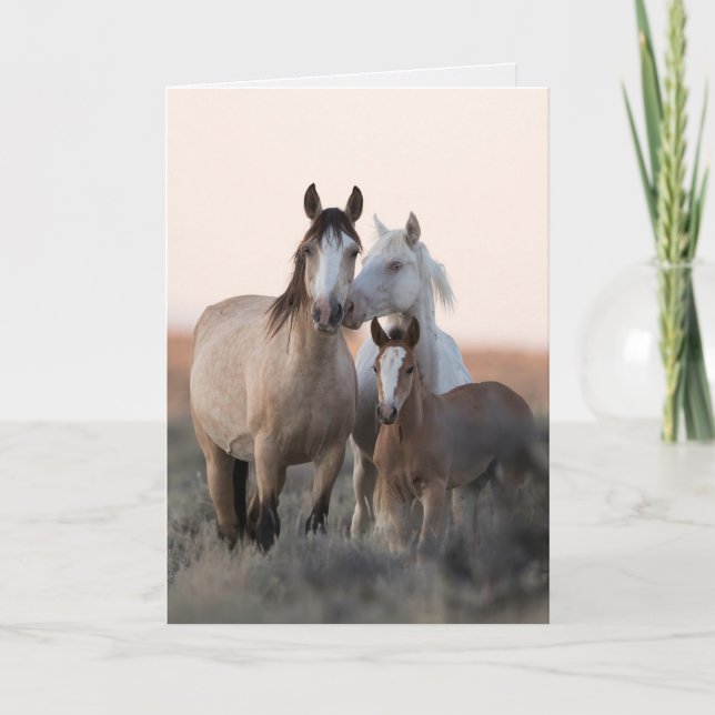 Vild Horse Greeting Card - Vild Family before Dawn Kort (Framsida)