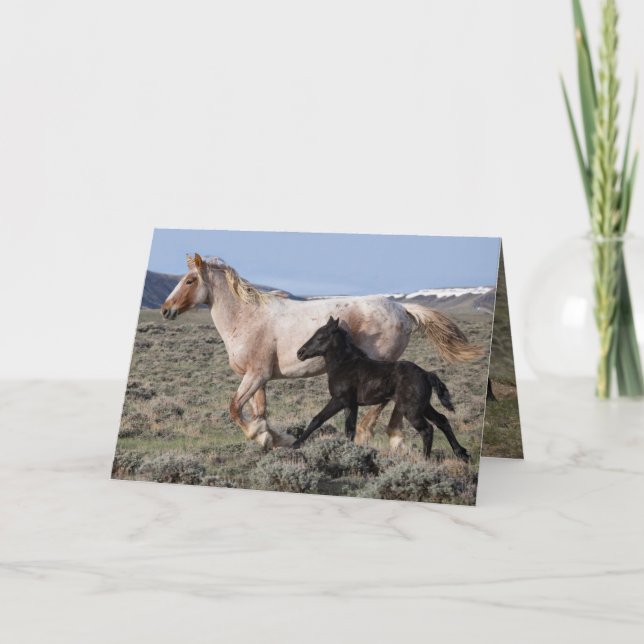 Vild Horse Greeting Card - Vild Mare and Foal Spri Tack Kort (Framsida)