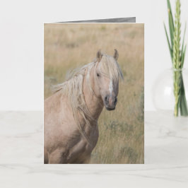 Vild Horse Greeting Card - Vild Palomino Stallion Kort