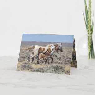 Vild Horse Greeting Card - Vild Pinto & Appaloosse Tack Kort