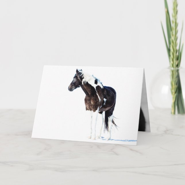 Vild Horse Greeting Card - vinterfärg Kort (Framsida)