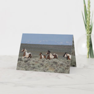 Vild Horse Greeting Cards - Taboo leder vägen Tack Kort