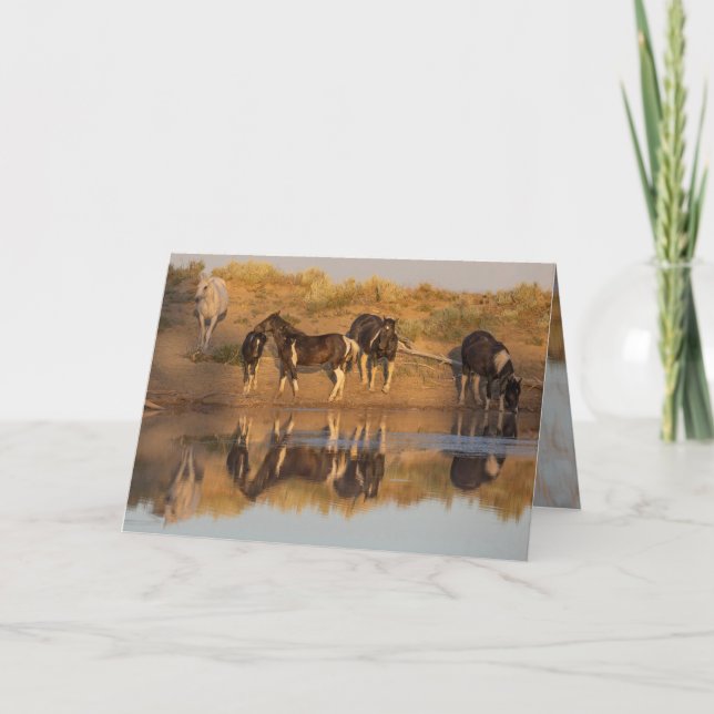 Vild Horse Greeting Cards - Vild Family at Oasis Tack Kort (Framsida)