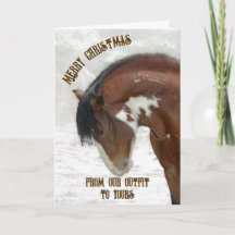 Vild Horse i Snö jul