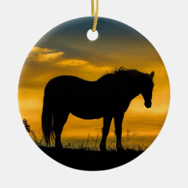 Vild Horse in the Sunrise Ornament (Framsidan)