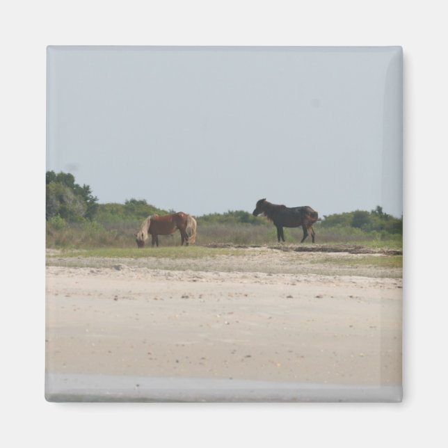 Vild Horse magnet (Framsidan)