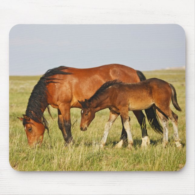 Vild Horse Mor och Colt Grazing Musmatta (Framsidan)