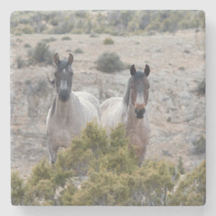 Vild Horse Mor och Son Stenunderlägg