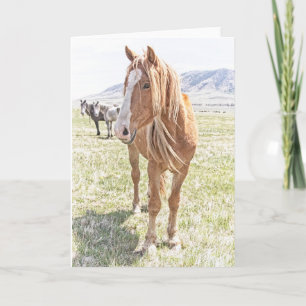 Vild Horse Mustang Greeting Card (tomt inuti) Kort