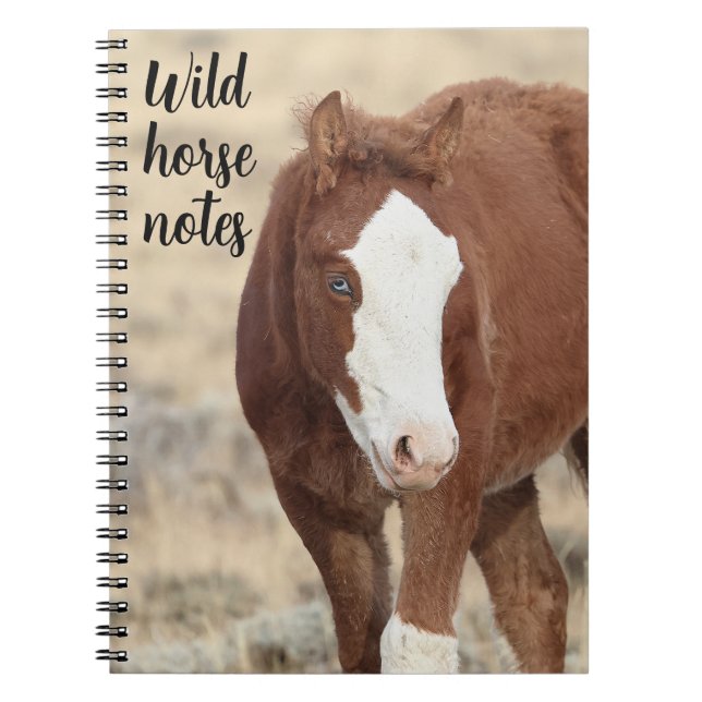 Vild Horse Notes Anteckningsbok (Framsidan)