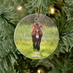 Vild Horse of Assateague Ceramic Ornament