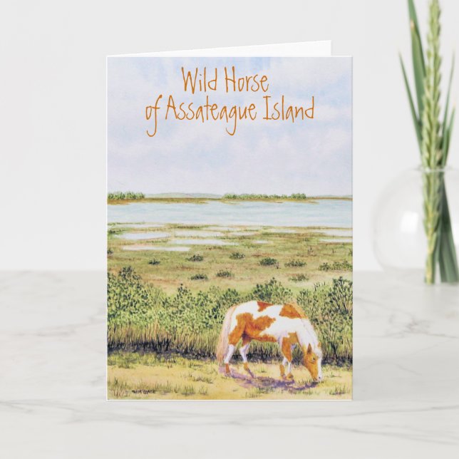 Vild Horse of Assateague Island Kort (Framsida)