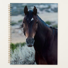 Vild Horse Planner