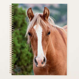 Vild Horse Planner