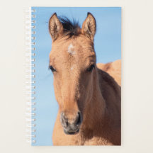 Vild Horse Planner