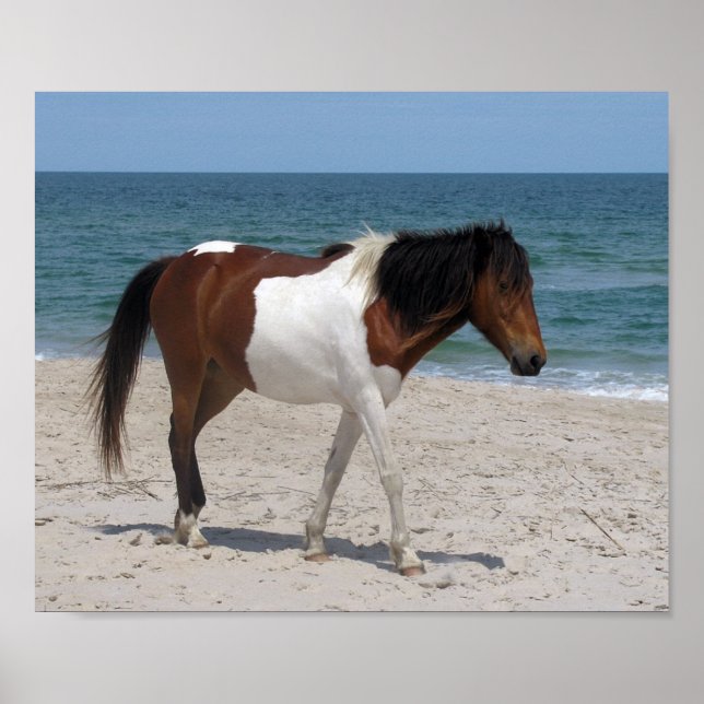 Vild Horse Poster (Framsidan)