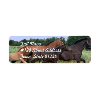 Vild Horse Returadress-meddelandeetikett Returadress Etikett