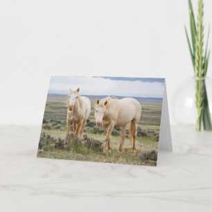 Vild Horse Roaming på Cody Priaire Kort