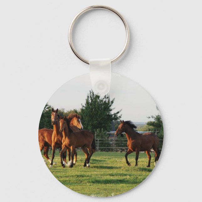 Vild Horse Roundup-nyckelkedja Nyckelring (Framsida)