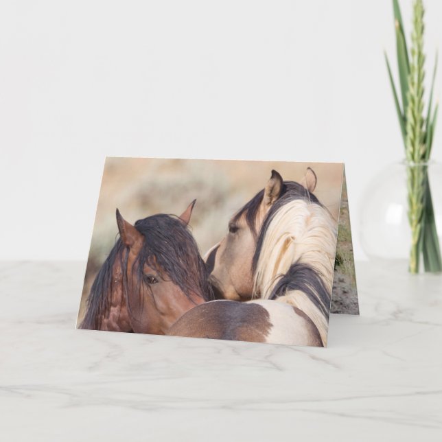 Vild Horse Secrets Vild Horse Greeting Card Kort (Framsida)