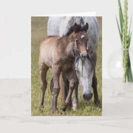 Vild Horse Serenity Kort