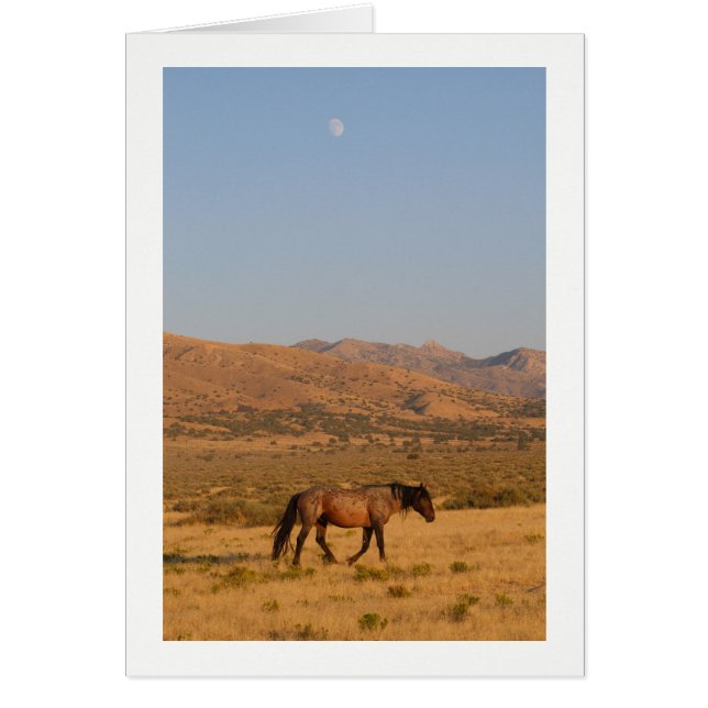 Vild Horse som går hem från vatten hål med måne Hälsningskort (Framsidan)