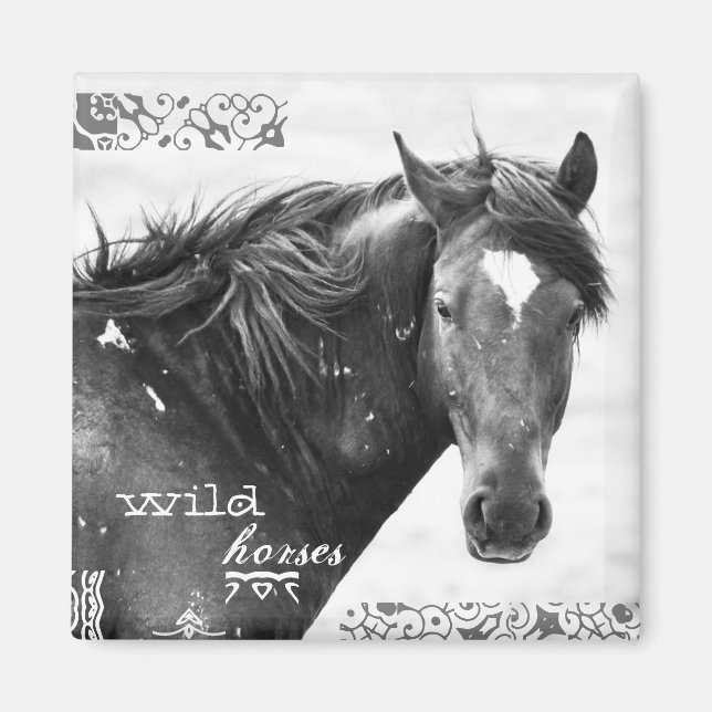 Vild Horse Southwest Photo Magnet (Framsidan)