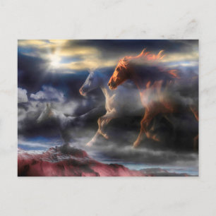 Vild Horse Spirits SPRINGA I MORROW Vykort
