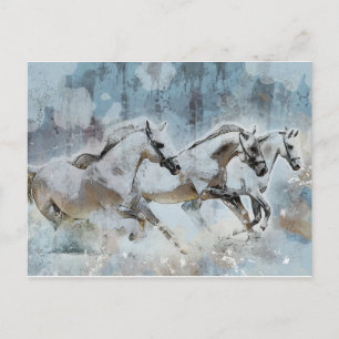 Vild Horse Stampede Western Vykort