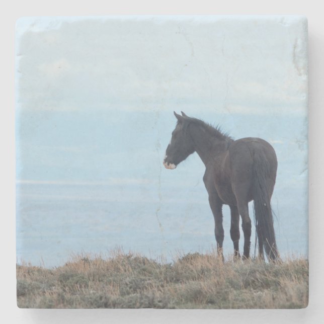 Vild Horse Stenunderlägg (Framsidan)