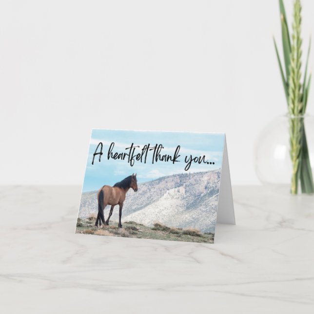 Vild Horse Tack Kort (Framsida)