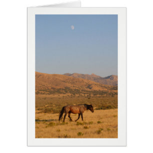 VILD HORSE WALKING WITH NEW MÅNE NOTECARD HÄLSNINGSKORT