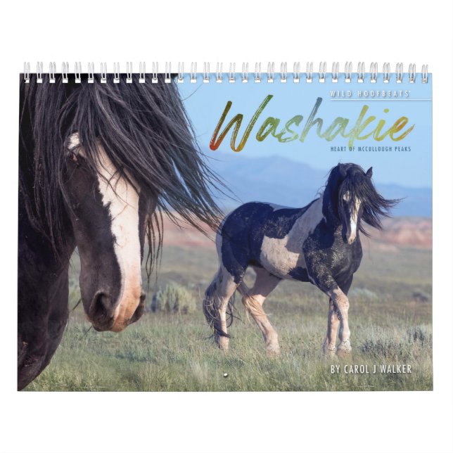 Vild Horse Washakie Calendar Kalender (Omslag)
