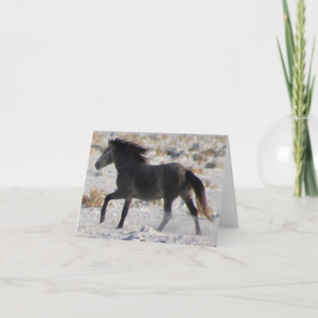 VILD HORSER AV UTAH GRÅTT MUSTANG I SNÖ Card Kort (Framsida)