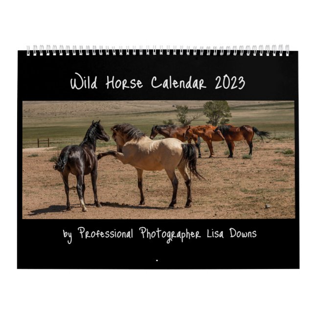 Vild Horses 2023 Kalender (Omslag)