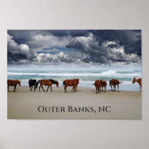 Vild Horses Corolla Outer Banker NC Poster
