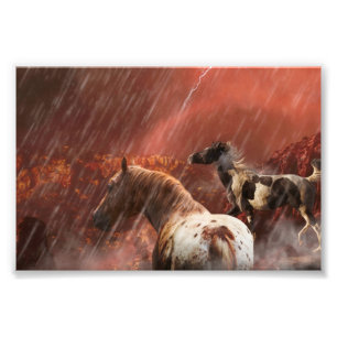 VILD HORSES DESERT STORM FOTOTRYCK