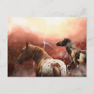 VILD HORSES DESERT STORM VYKORT
